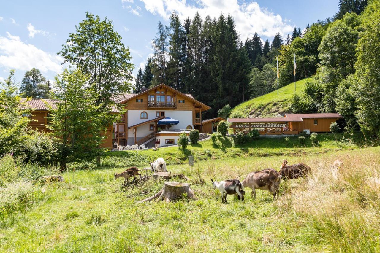 Hotel Und Apartements Im Forellenbach Fischen im Allgaeu Екстериор снимка